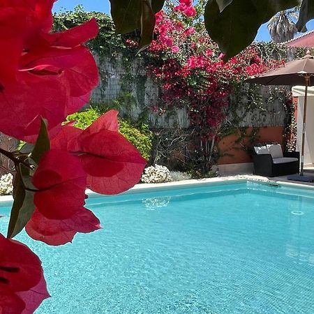 Studio With Private Swimming Pool And Garden كاسكايس المظهر الخارجي الصورة