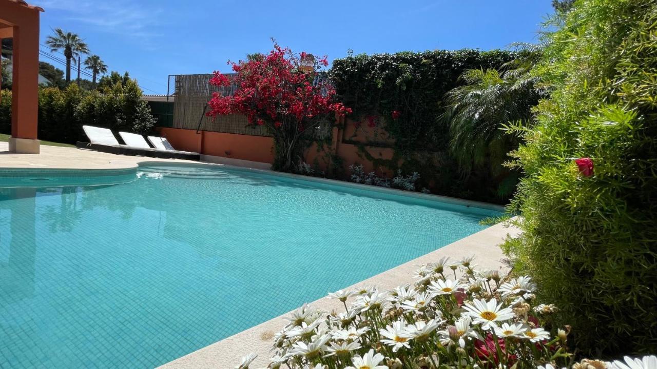 Studio With Private Swimming Pool And Garden كاسكايس المظهر الخارجي الصورة