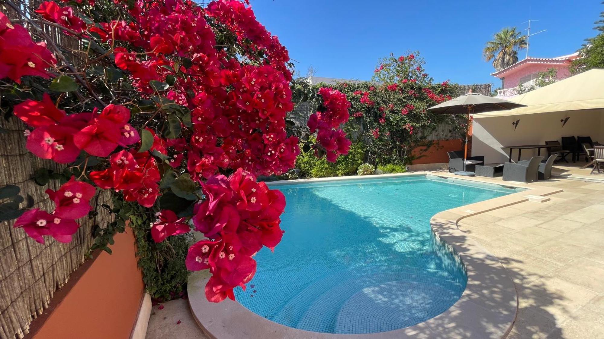 Studio With Private Swimming Pool And Garden كاسكايس المظهر الخارجي الصورة